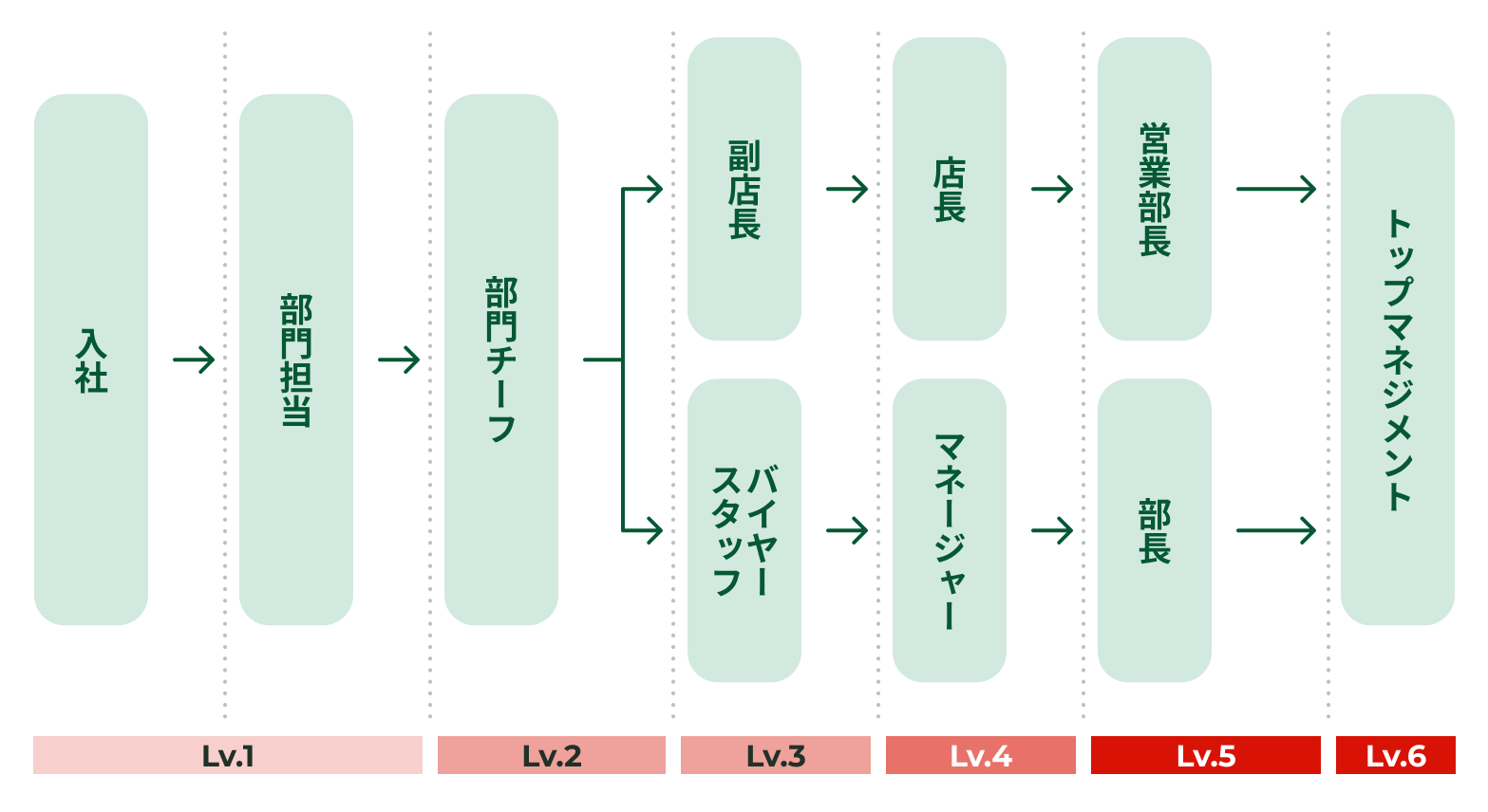 キャリアパス